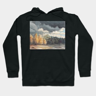 Birch trees in Benton County. Hoodie